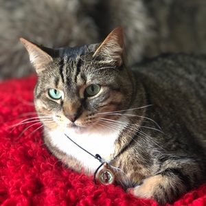 Meet your Posher, Mia